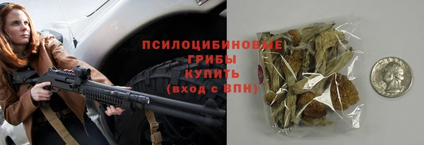 ГАЛЛЮЦИНОГЕННЫЕ ГРИБЫ Армянск