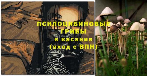 MESCALINE Аркадак