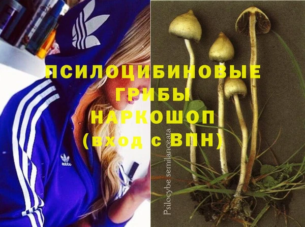 прущие крисы Арсеньев