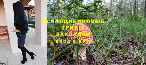 прущие крисы Арсеньев