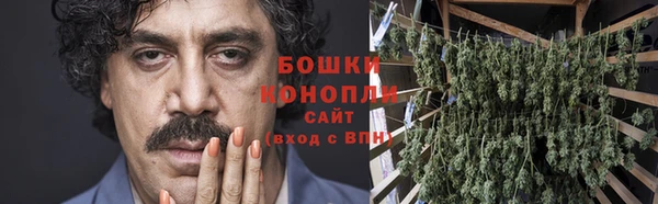 ГАЛЛЮЦИНОГЕННЫЕ ГРИБЫ Армянск